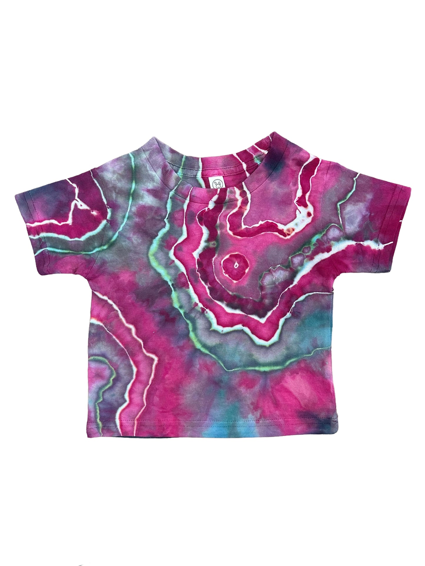 toddler t-shirt 2T