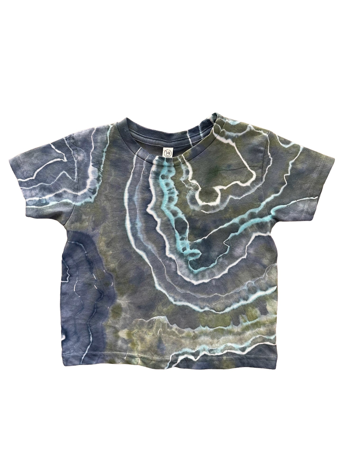 toddler t-shirt 4T