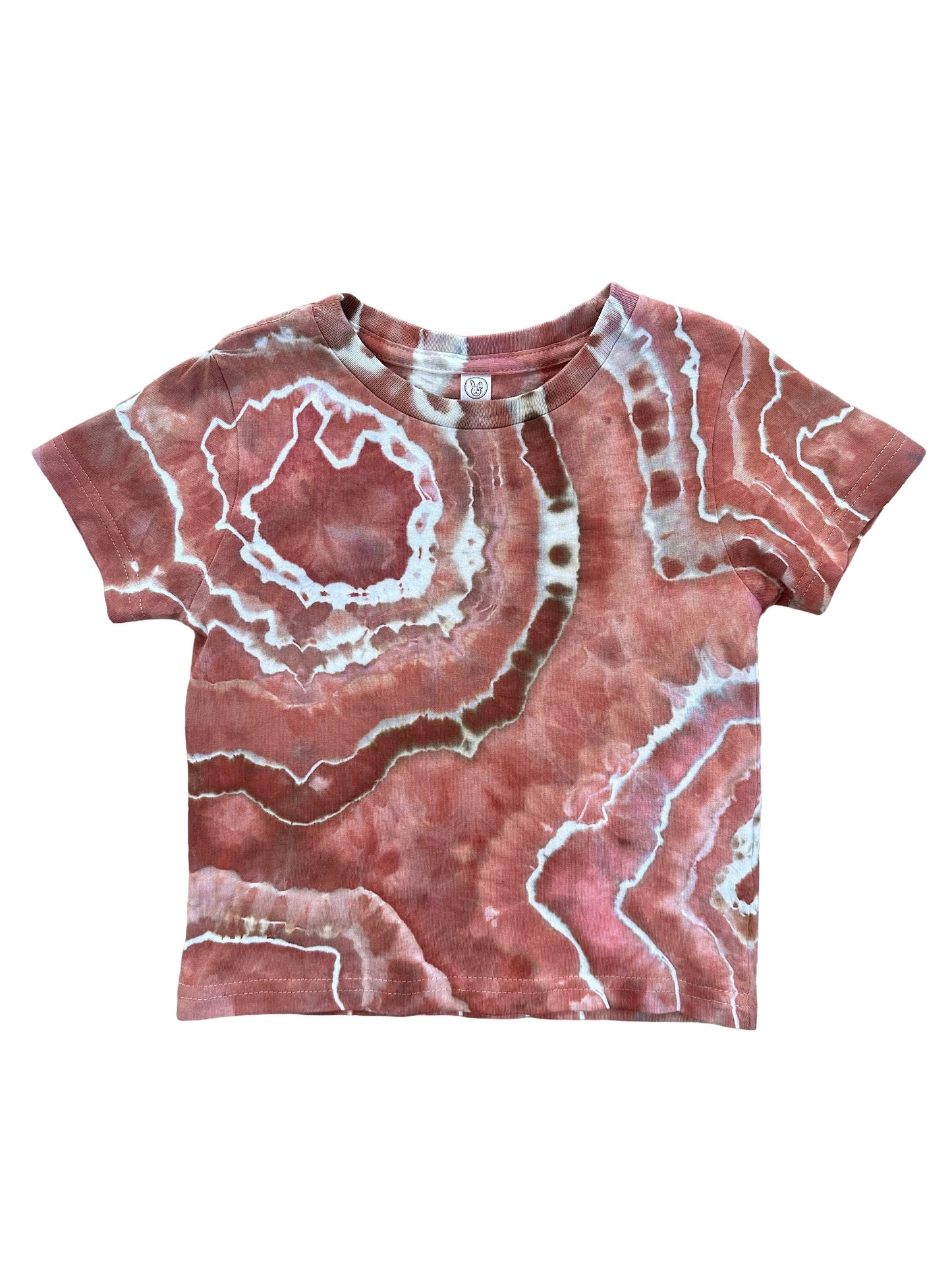 toddler t-shirt 3T