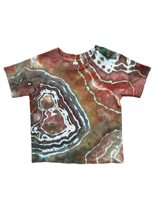 toddler t-shirt 3T