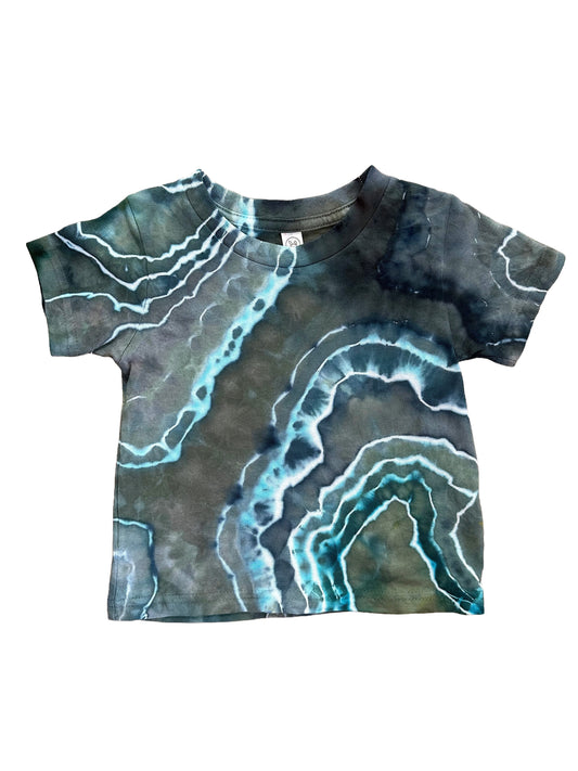 toddler t-shirt 2T