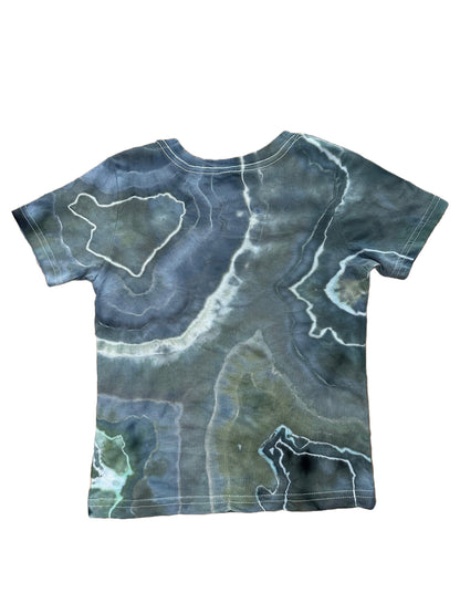 toddler t-shirt 4T