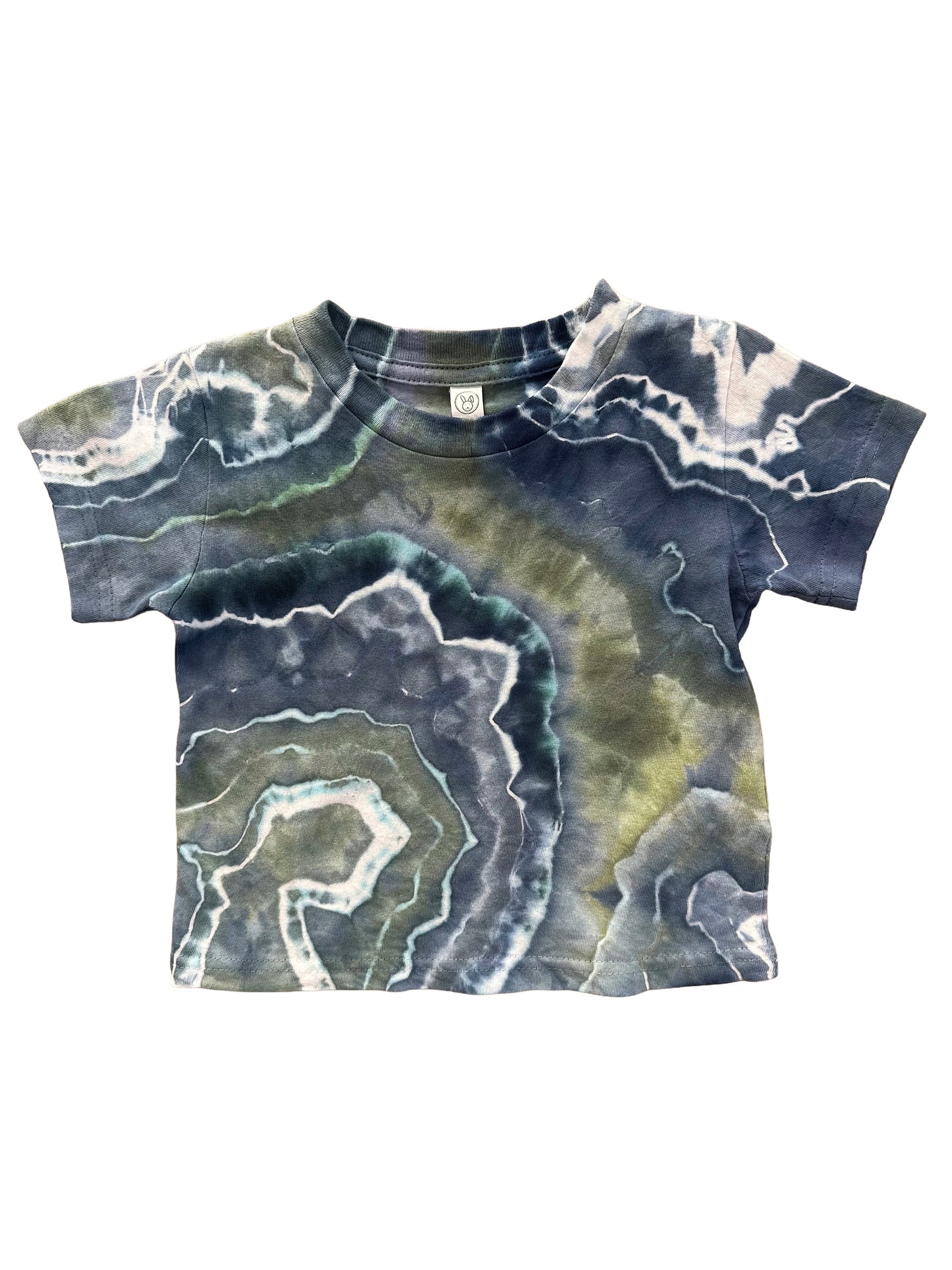 toddler t-shirt 2T